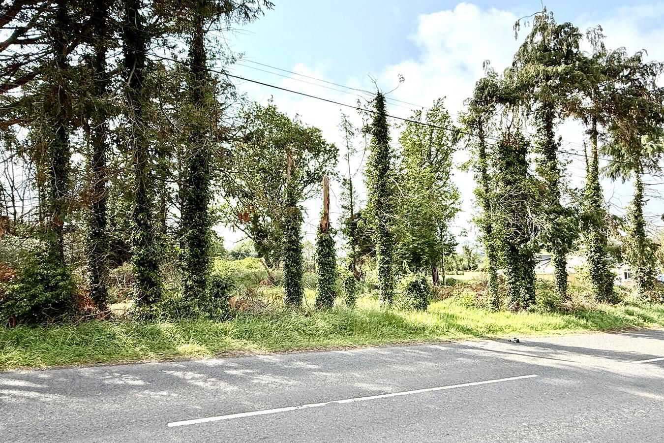 Building Site, Site Adjacent To, 17 Knock Road 7 of 9