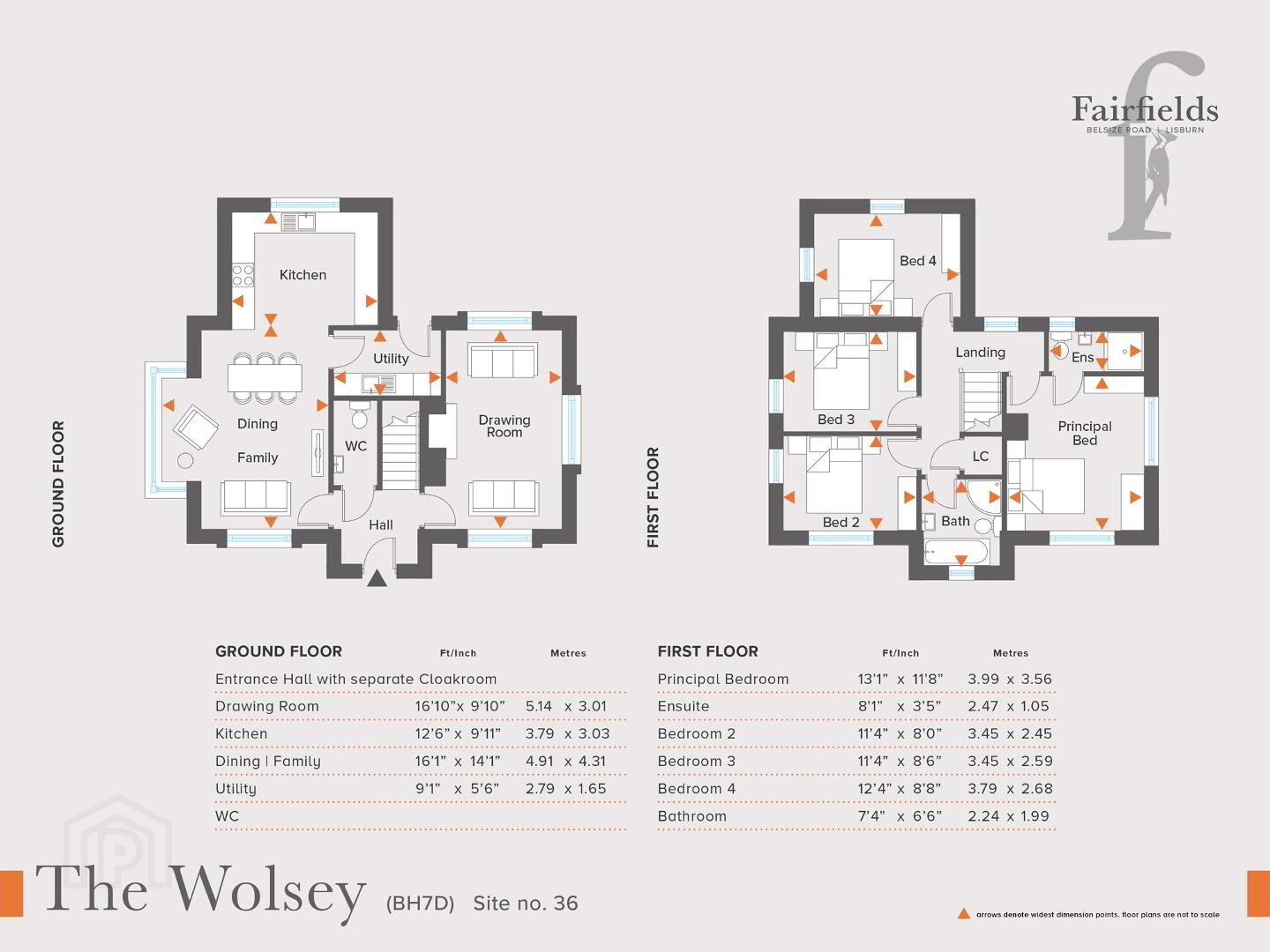 The Wolsey 2 of 3