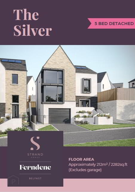The Silver 2 of 21