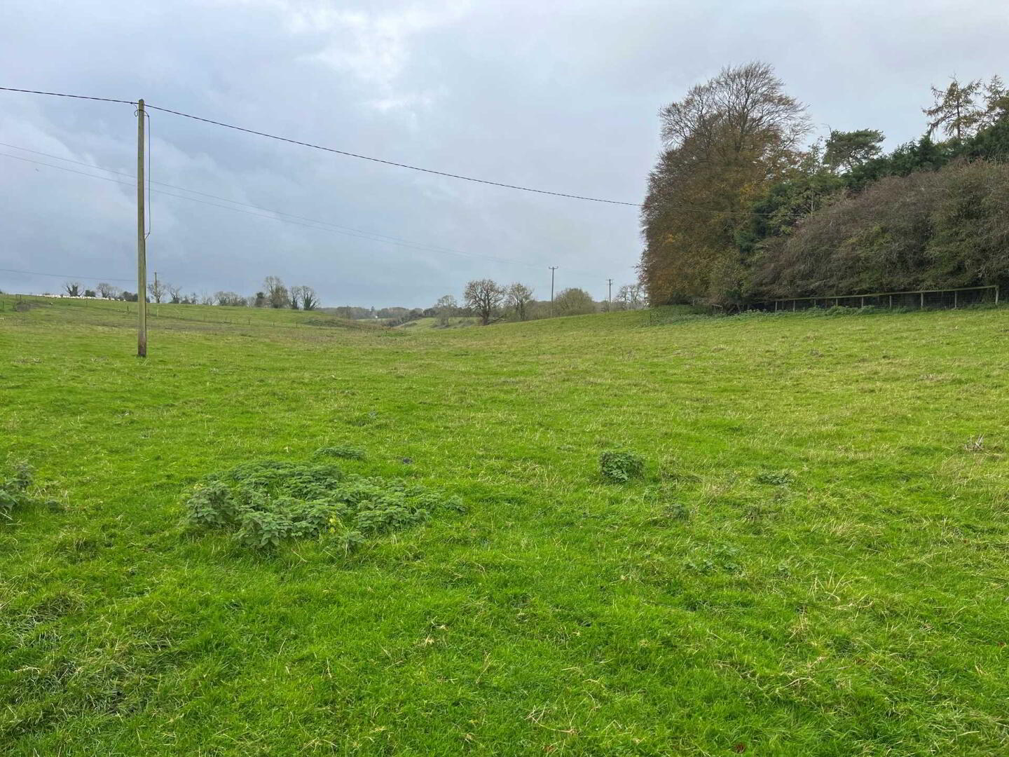 23 ACRES WITH 16 STABLES, Rathfeigh