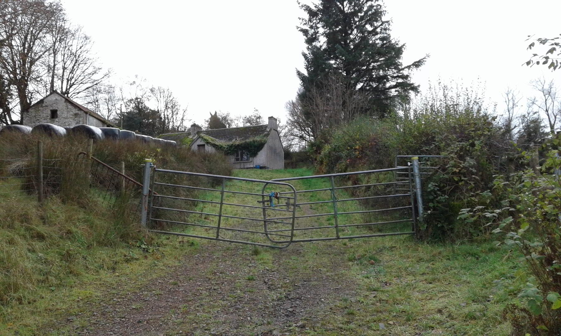 124 Lenagh Road