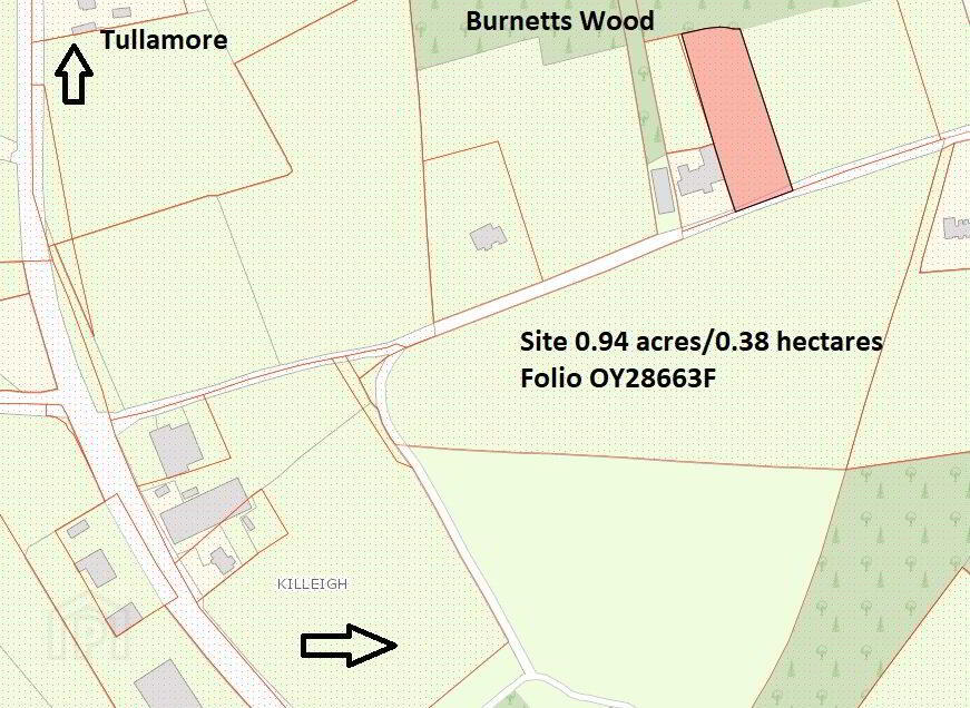 Burnetts Wood 3 of 3