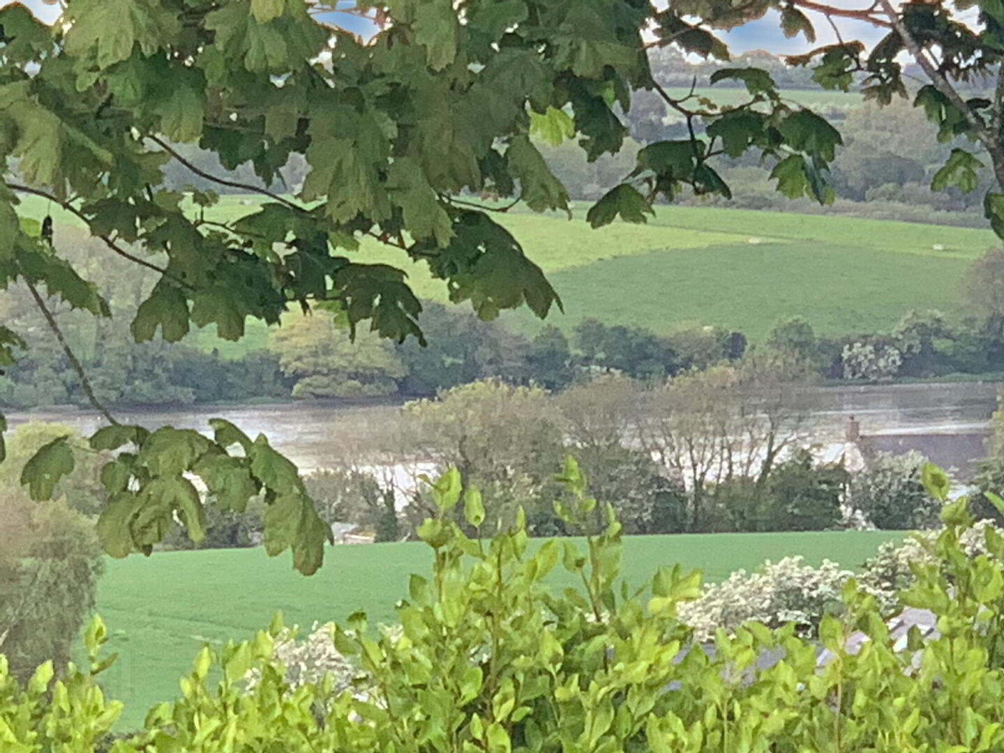 Site 1 Ballyboggan 8 of 9