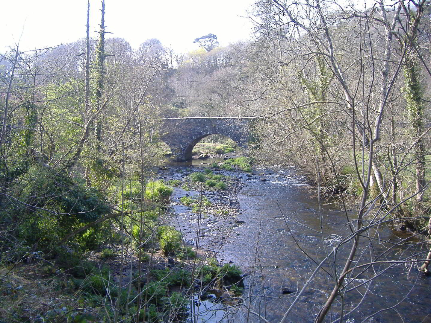 Stradballymore 1 of 8