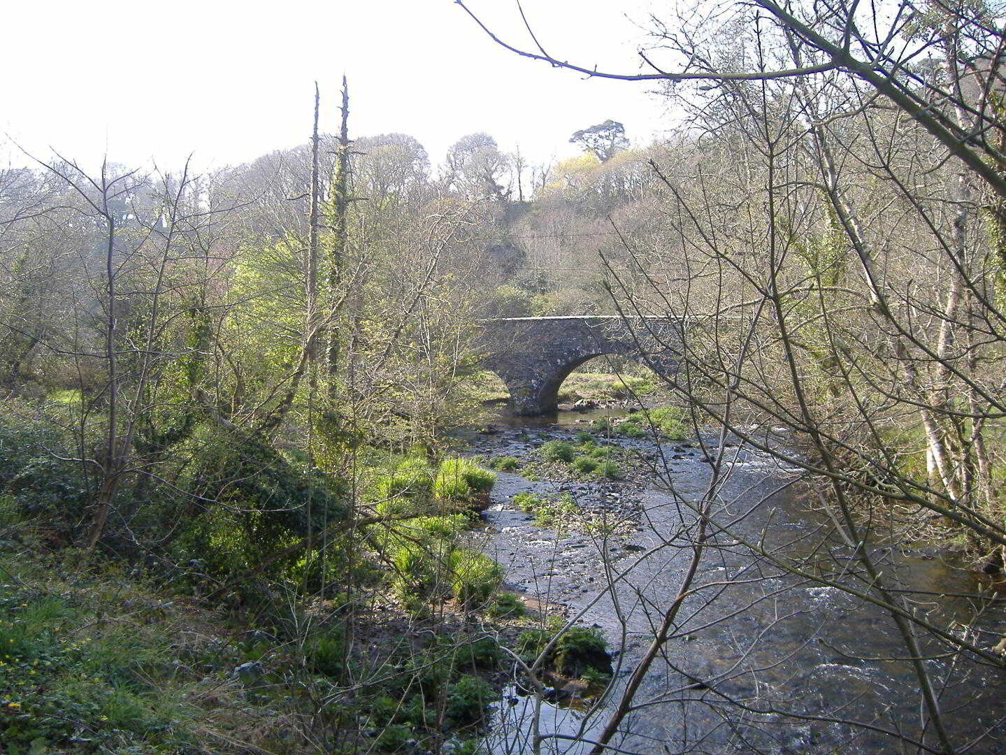 Stradballymore 3 of 8