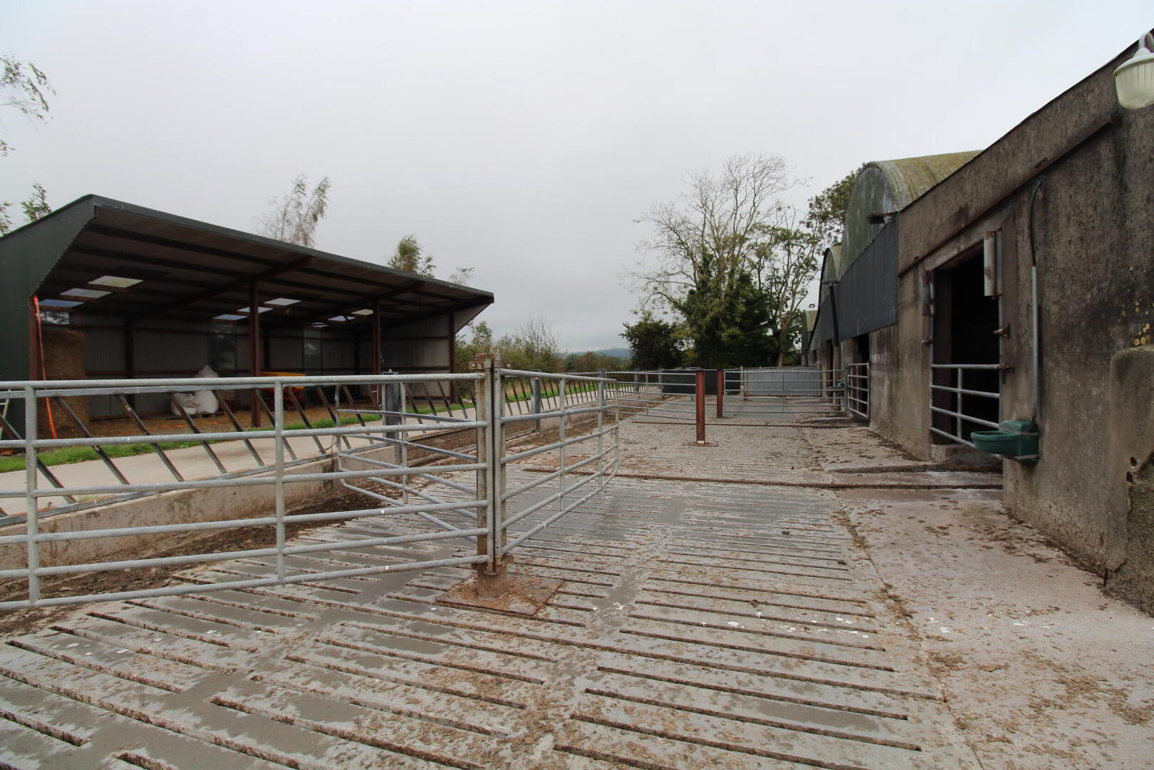 Ballynahemery 15 of 23