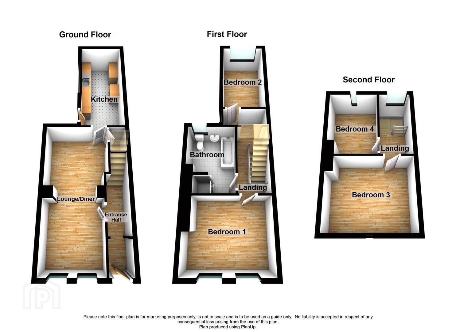 22 Nelson Street 15 of 15