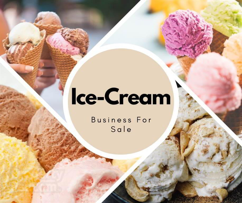 Ice Cream Franchise Business