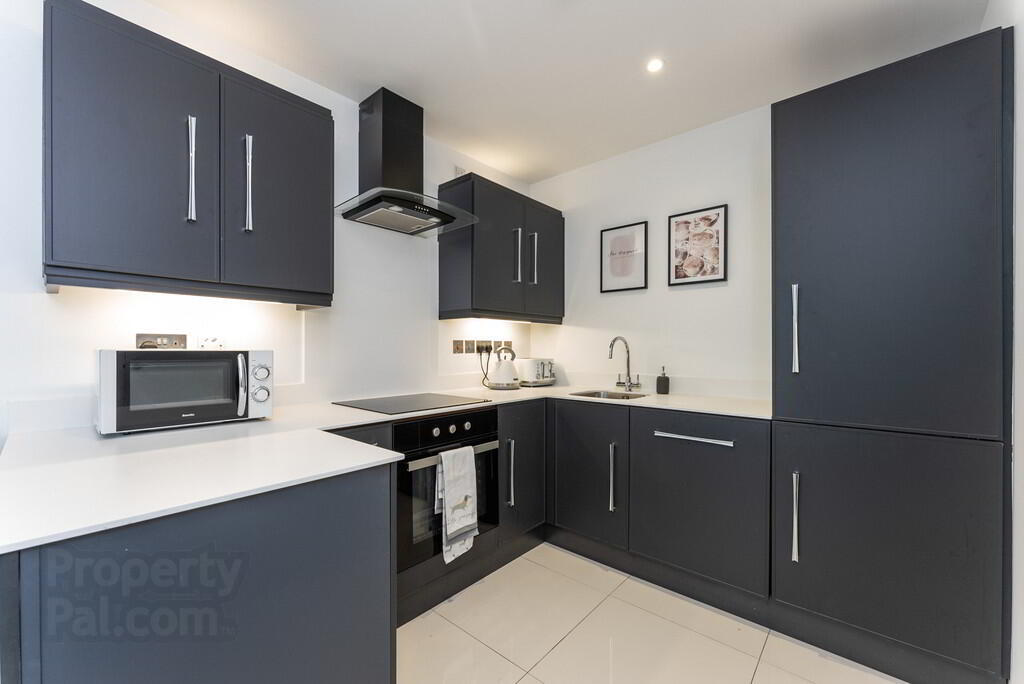 9-01, 62 Donegall Quay 3 of 12