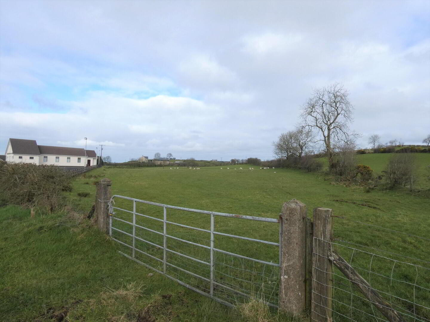 Circa 8 Acres Of Land, Ballynaloob Road