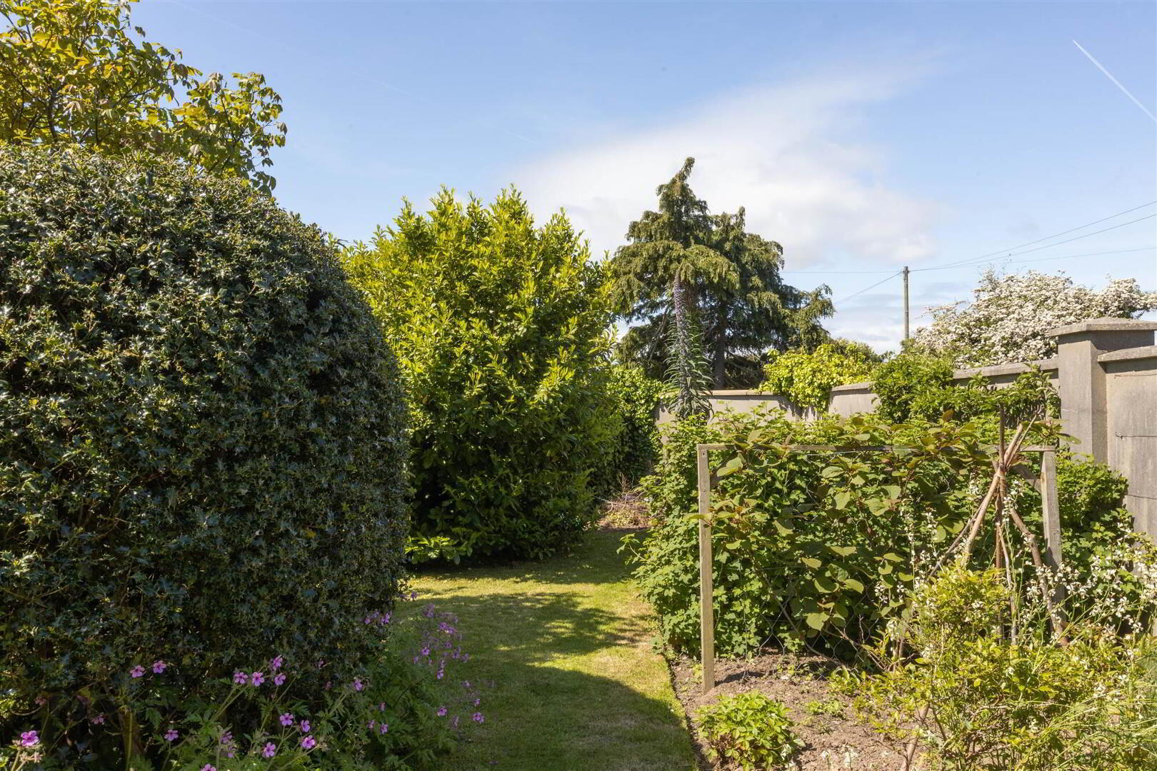 48 Ballydorn Road 65 of 92