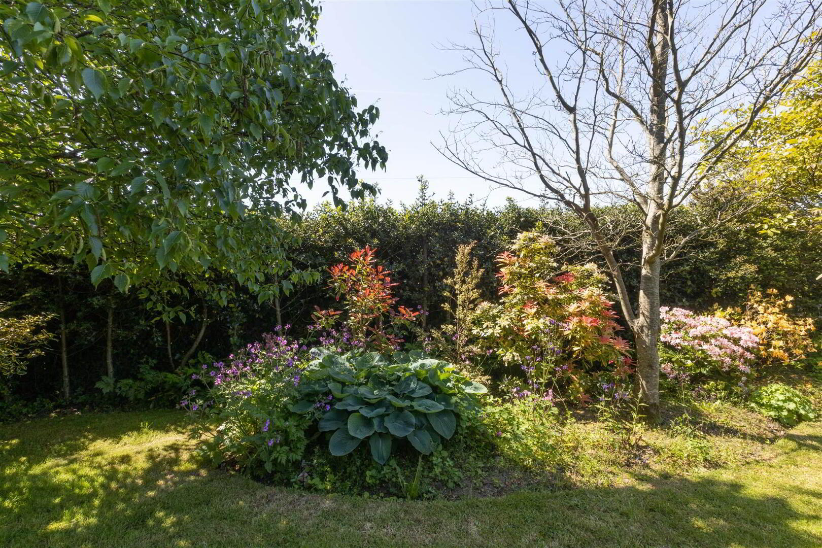 48 Ballydorn Road 66 of 92