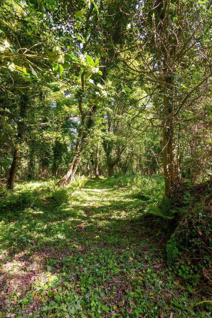 Salt Water Mill, 35A Killyleagh Road 49 of 50