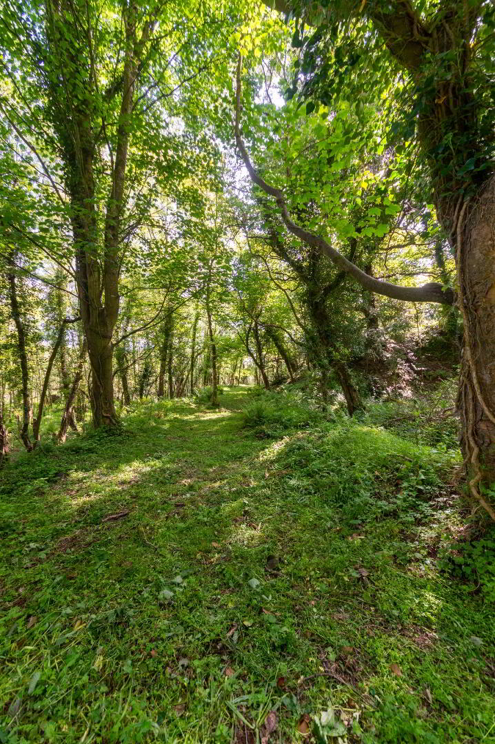 Salt Water Mill, 35A Killyleagh Road 50 of 50