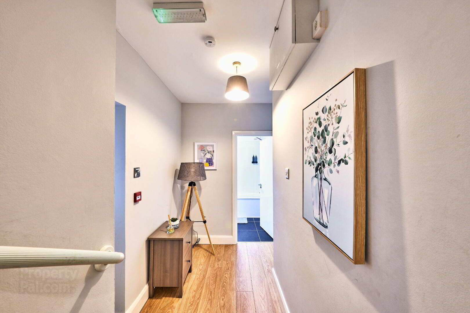 Dunluce Green (from Sept 2025), 46 Eglinton Street 30 of 41