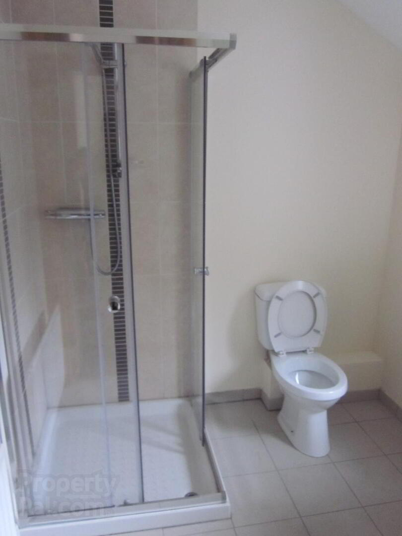 20 Landseer Street 9 of 23