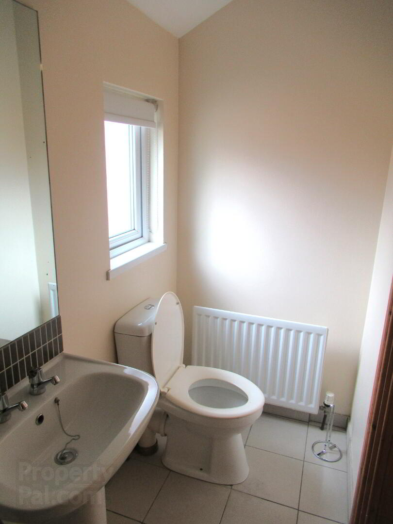 20 Landseer Street 12 of 23