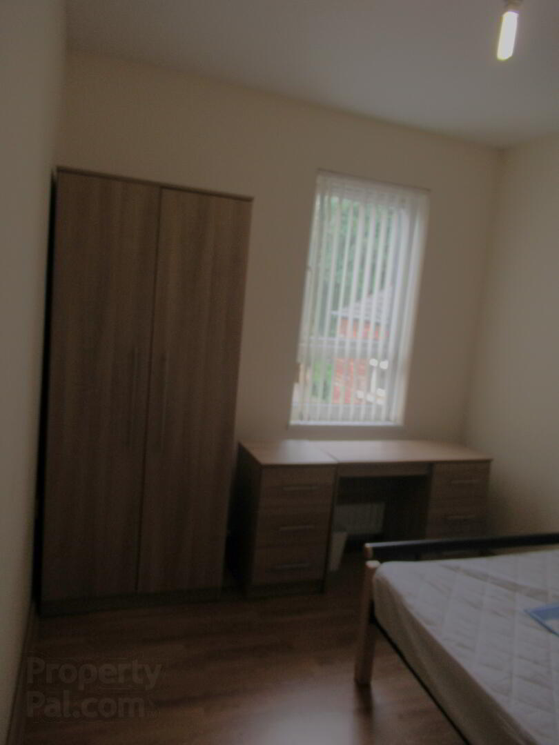 20 Landseer Street 15 of 23