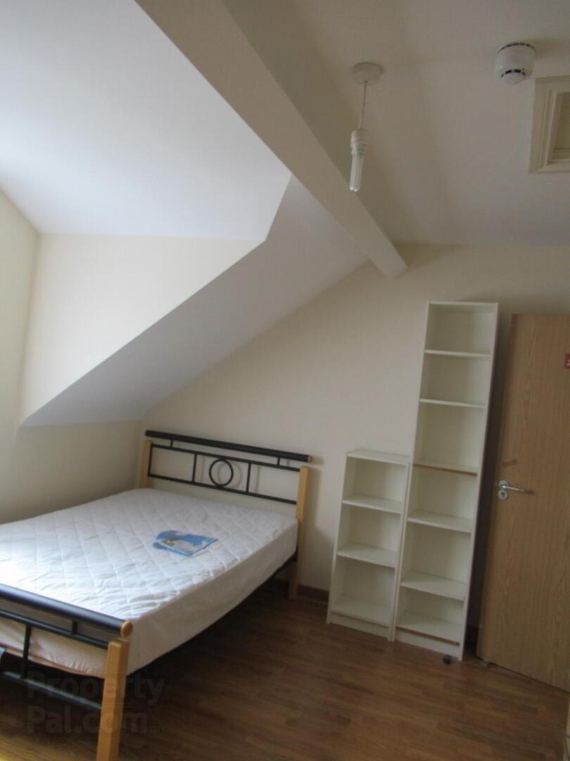 20 Landseer Street 23 of 23