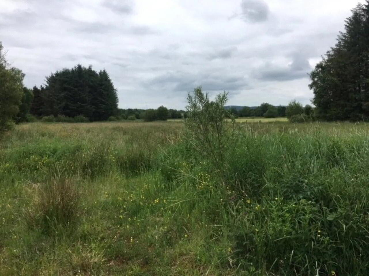 19 Acres Land, Approx