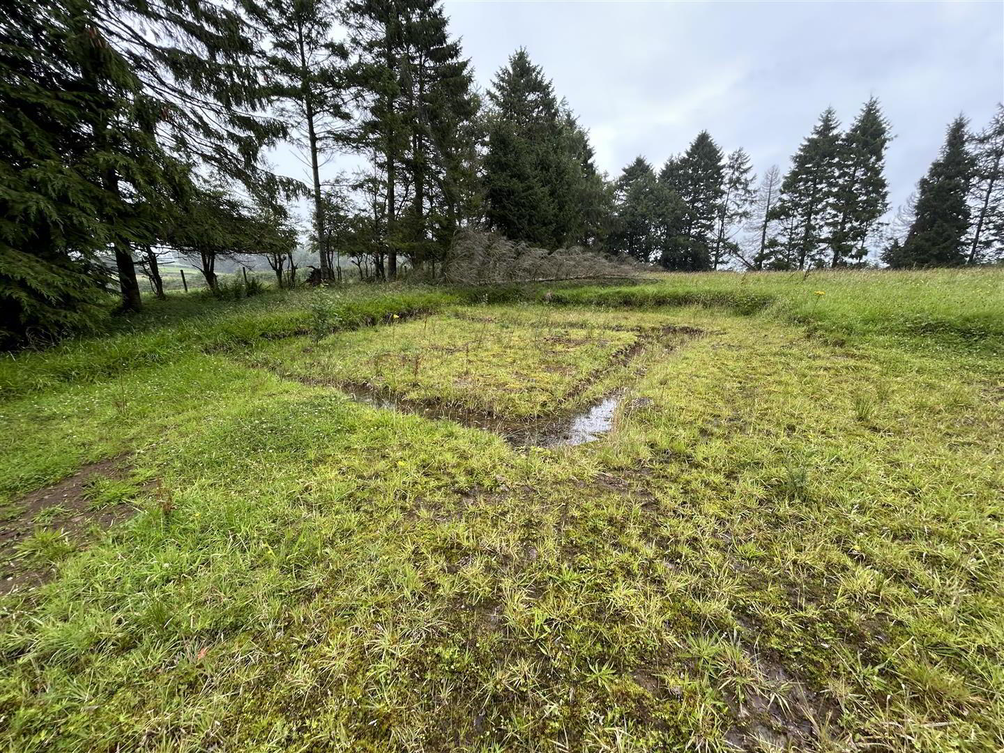 Site At, 3 Carnearney Road 9 of 10