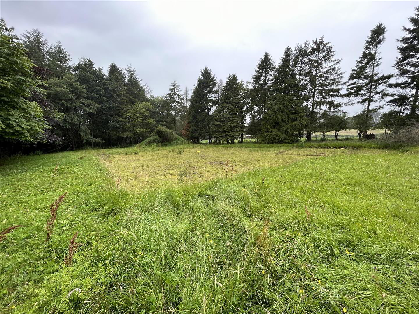 Site At, 3 Carnearney Road 10 of 10