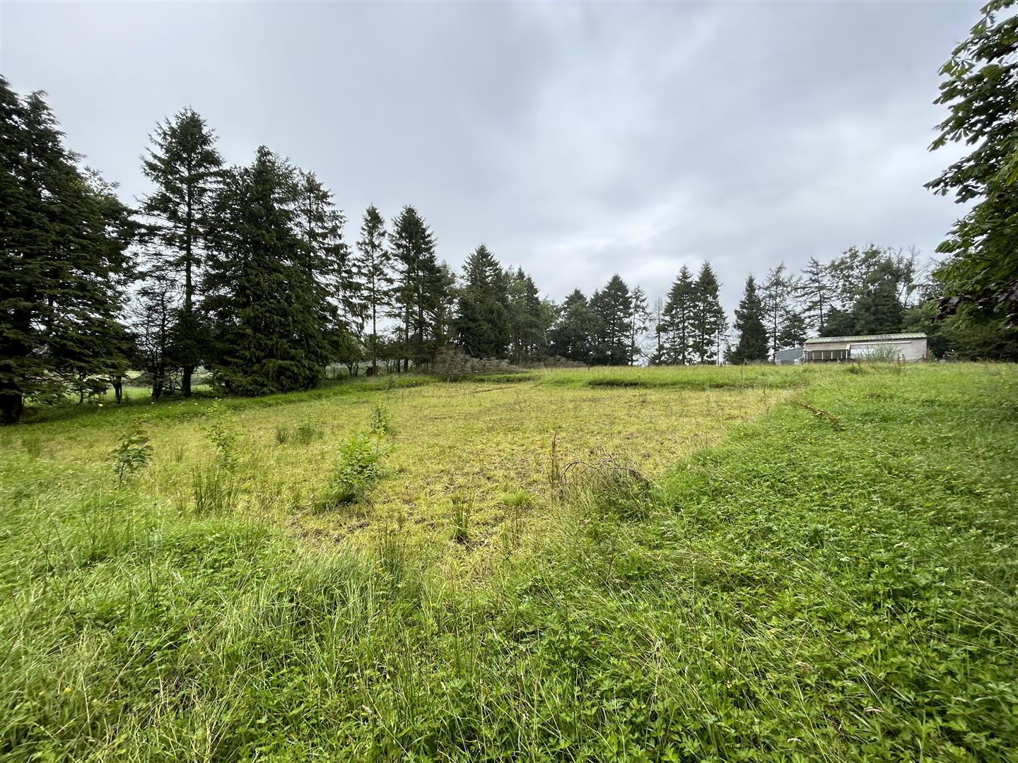 Site At, 3 Carnearney Road 8 of 10