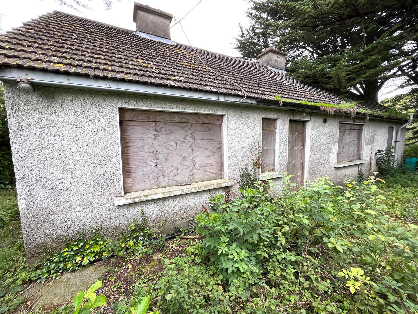 Derelict Bungalow, Cottage And, C.10.5 Acres At Monktown