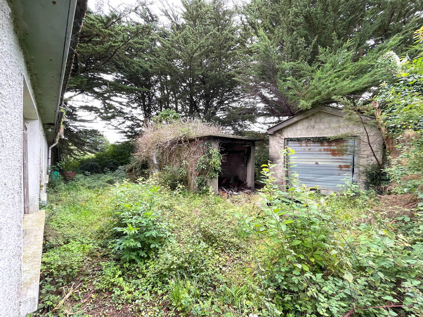 Derelict Bungalow, Cottage And, C.10.5 Acres At Monktown
