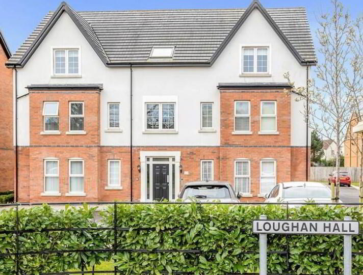 Apt 6 1 Loughan Hall, Comber Road 9 of 10