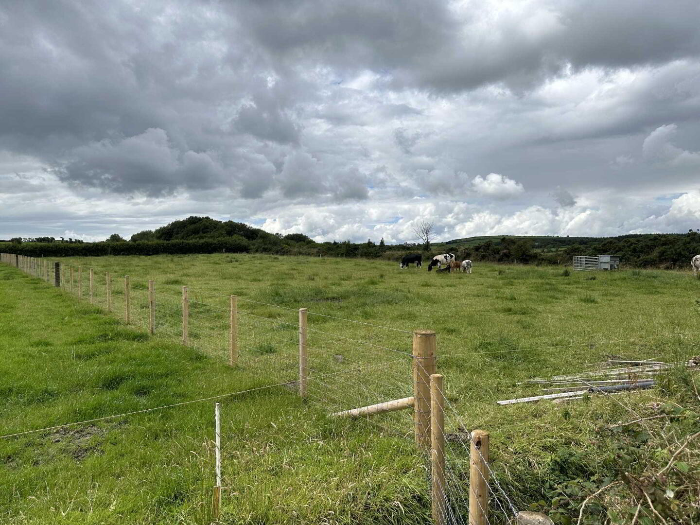 property description image
