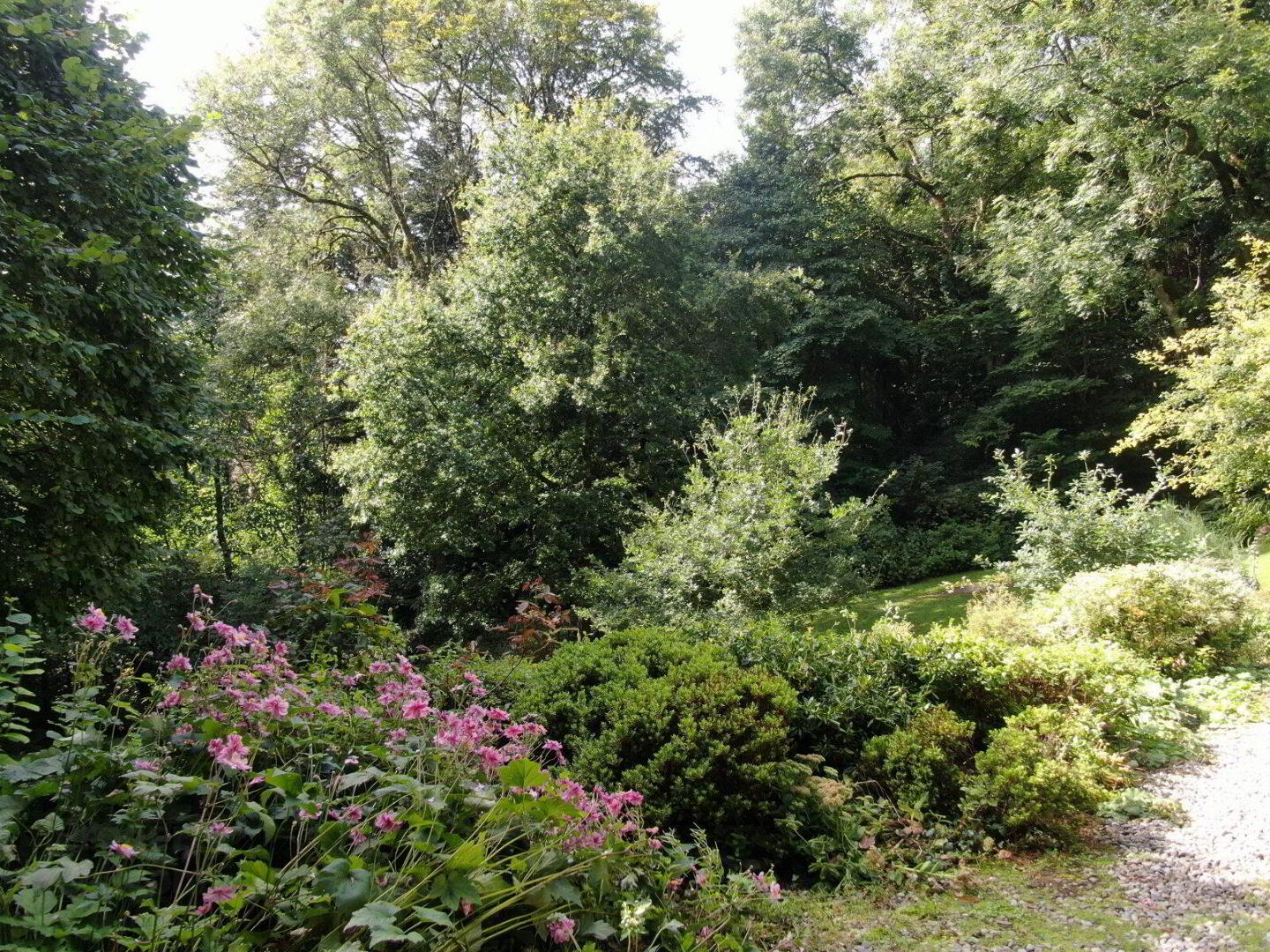 Edenvale Cottage 19 of 24
