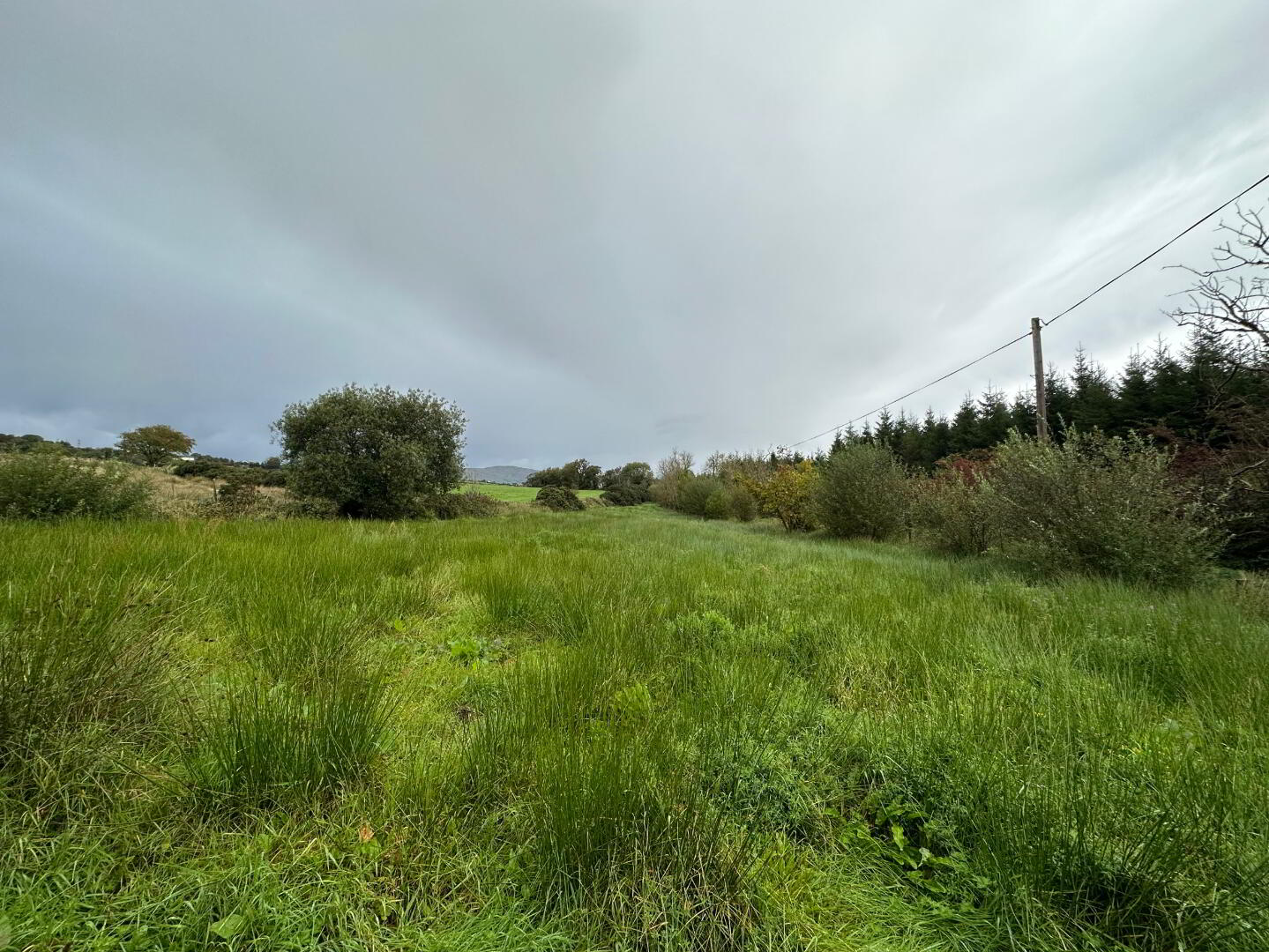 Land At, Carrowreagh
