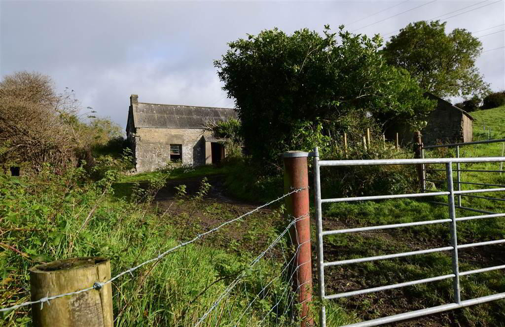 C. 20.5 Bungalow With Acres, 71 Saintfield Road 30 of 48