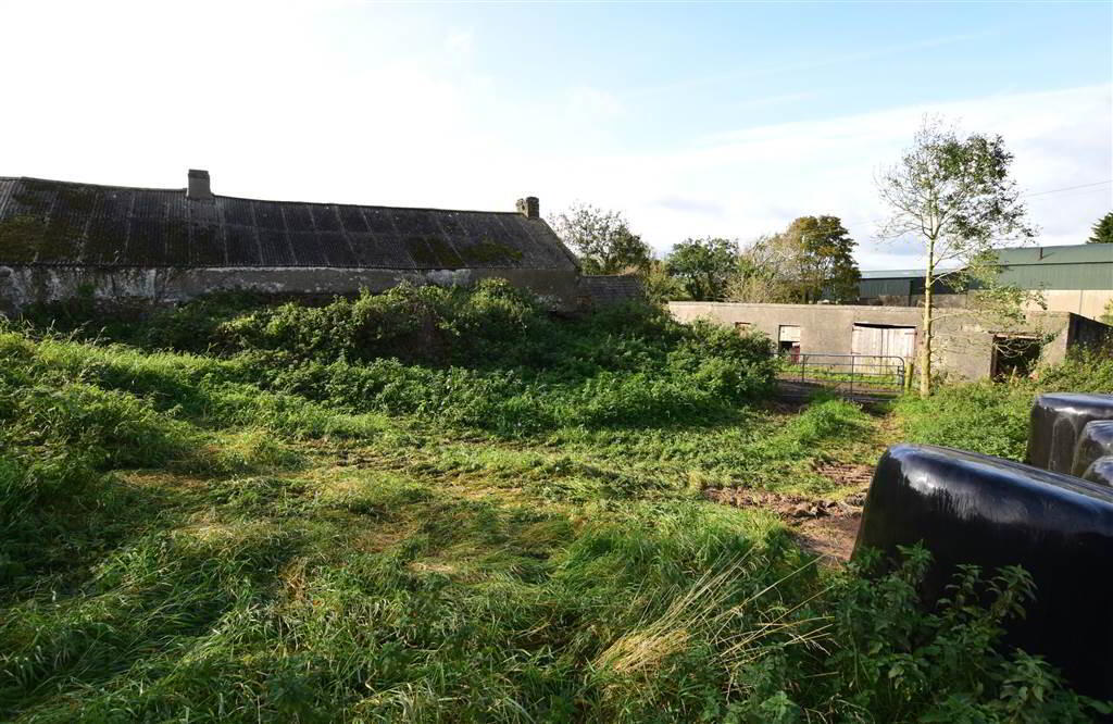 C. 20.5 Bungalow With Acres, 71 Saintfield Road 32 of 48