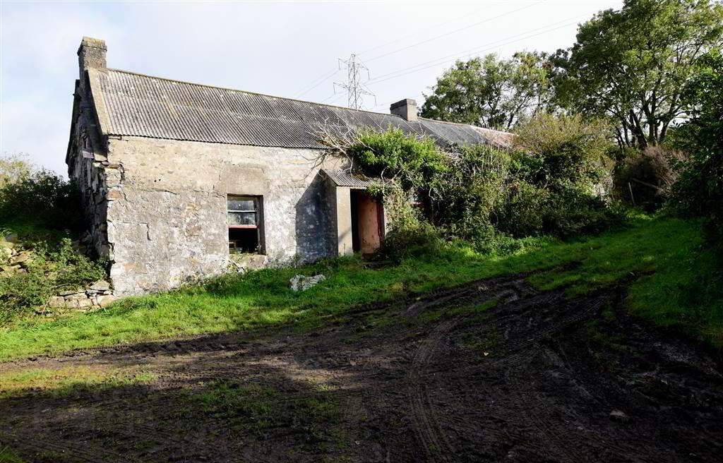 C. 20.5 Bungalow With Acres, 71 Saintfield Road 31 of 48