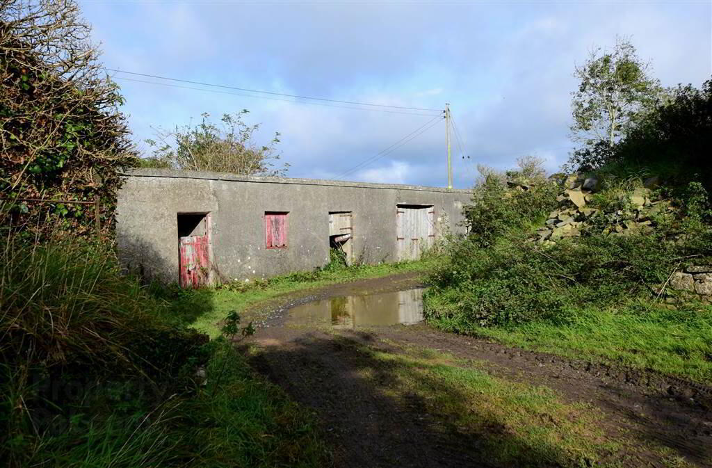 C. 20.5 Bungalow With Acres, 71 Saintfield Road 33 of 48