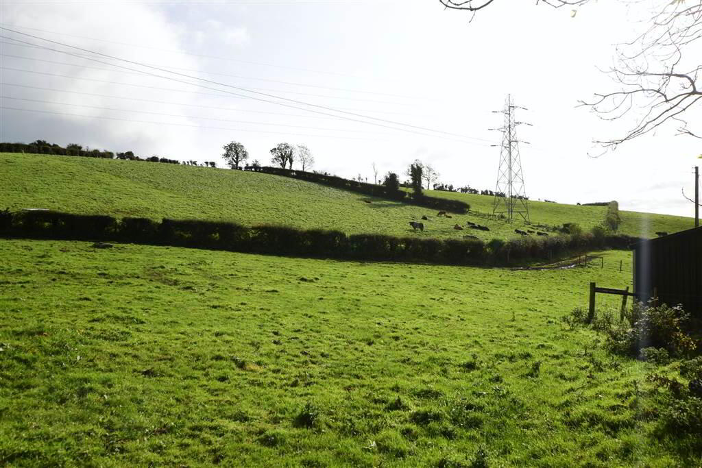 C. 20.5 Bungalow With Acres, 71 Saintfield Road 37 of 48