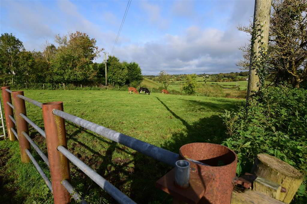 C. 20.5 Bungalow With Acres, 71 Saintfield Road 40 of 48