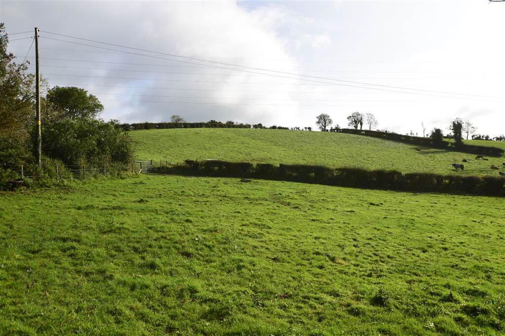 C. 20.5 Bungalow With Acres, 71 Saintfield Road 36 of 48