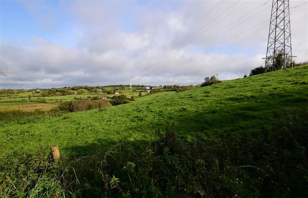 C. 20.5 Bungalow With Acres, 71 Saintfield Road 41 of 48