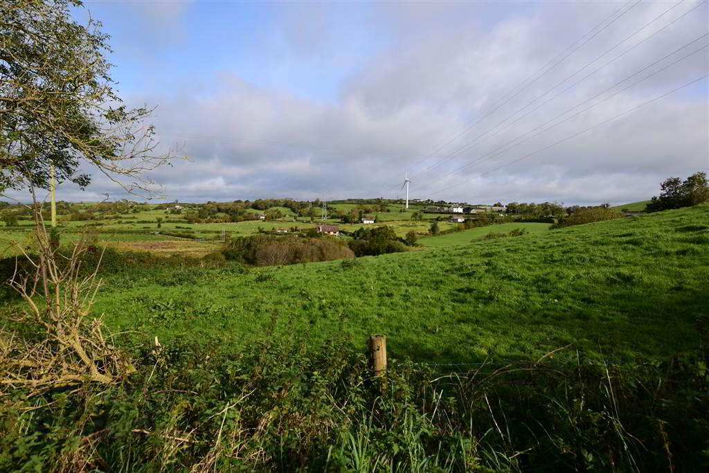 C. 20.5 Bungalow With Acres, 71 Saintfield Road 42 of 48