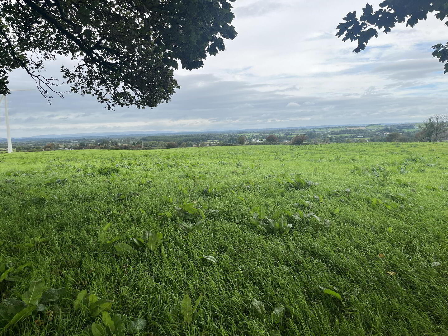 Circa, 0.75 Acre Site At Mace Upper 3 of 6