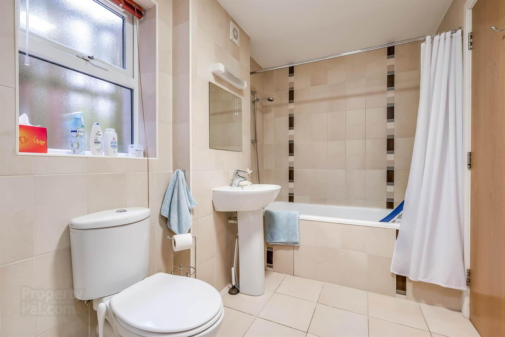 Apt 3, 1 Deramore Park South 14 of 19