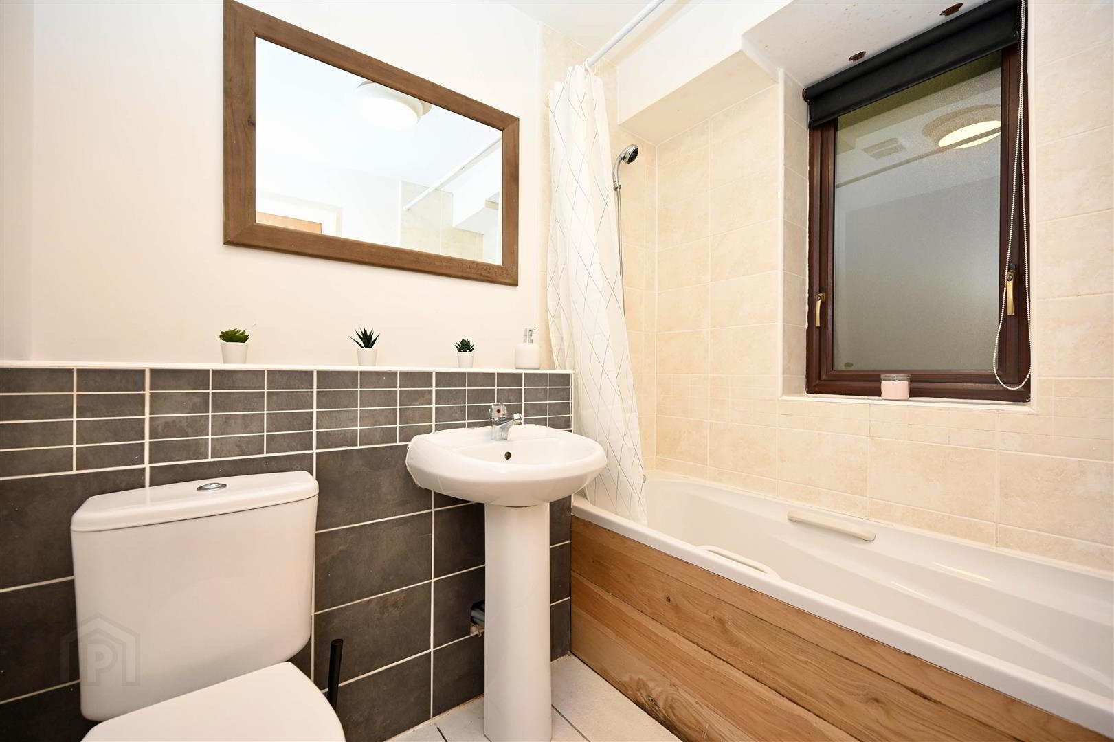 Apt 2 Winter Gardens, 34 Alfred Street 9 of 11