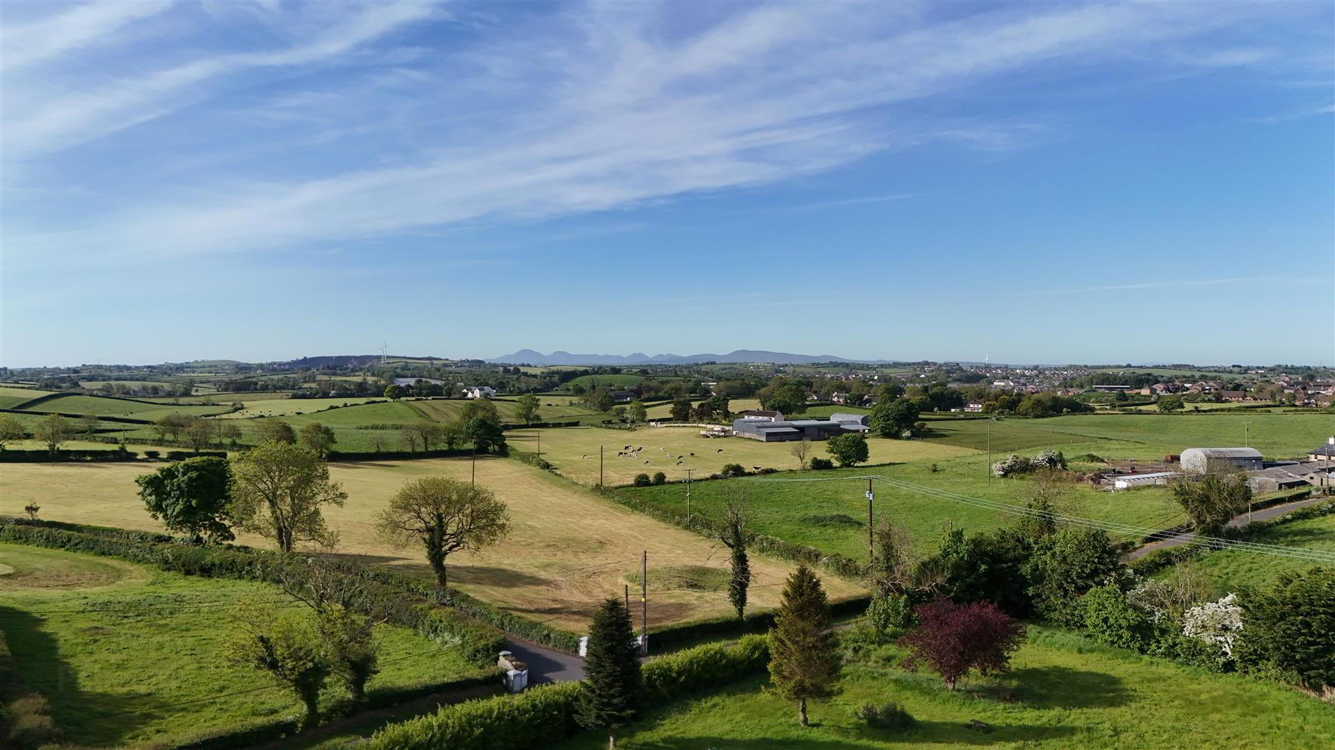 82a Manse Road 22 of 25