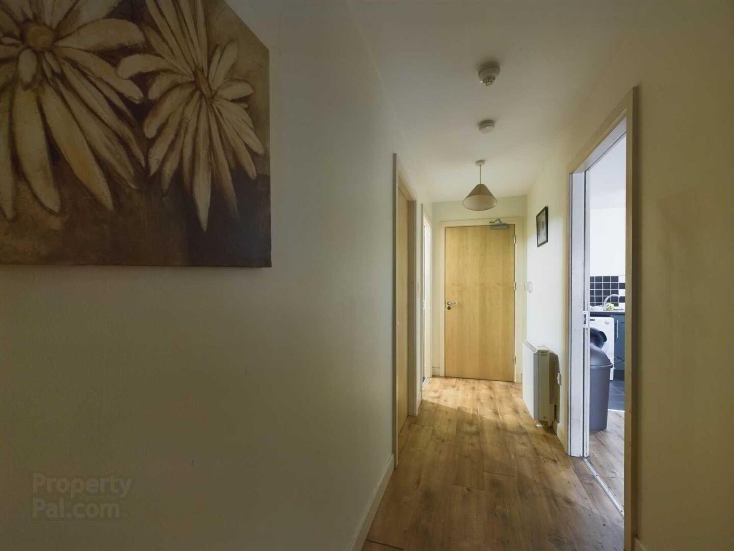 16 O`connell Court 6 of 7