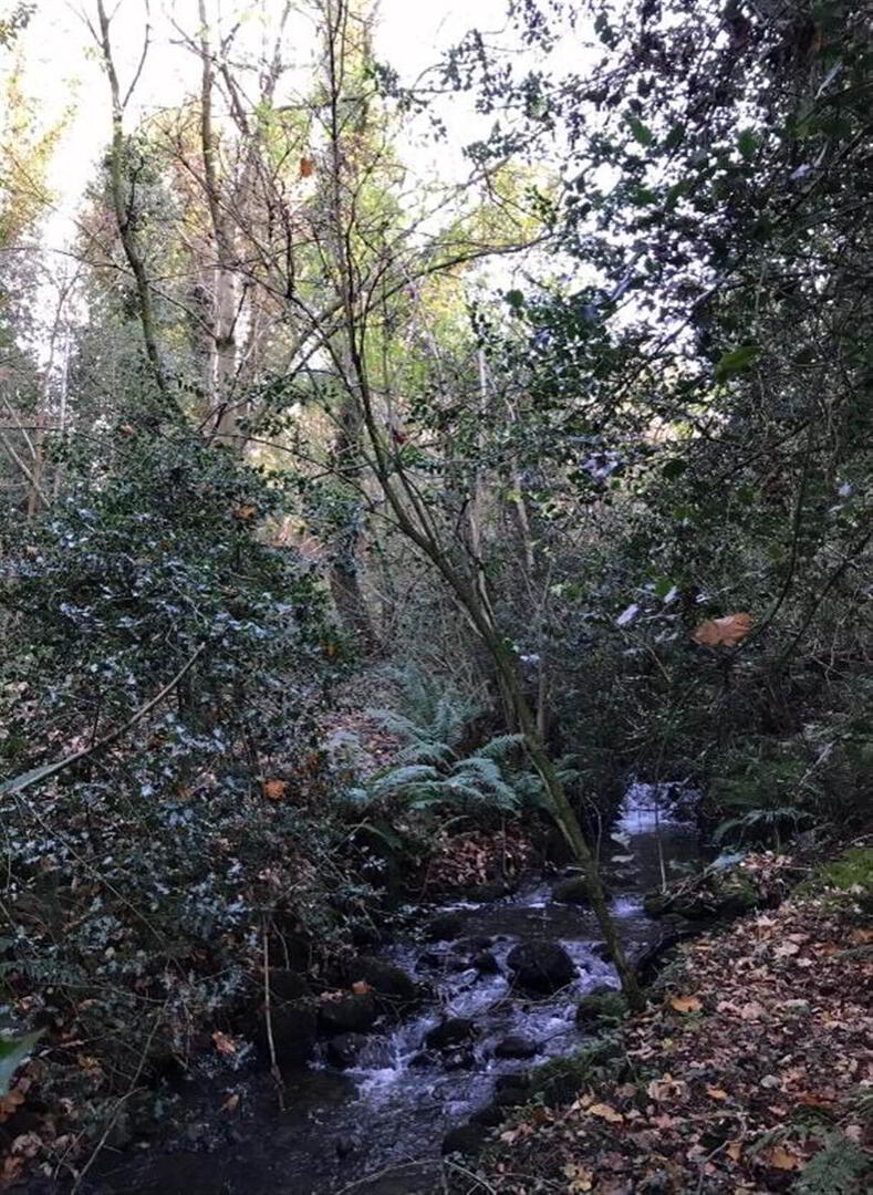 'Woodlands', 29 Corcreeny Road 21 of 29