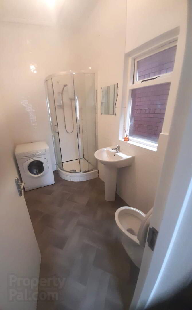 12b Edward Street 7 of 7