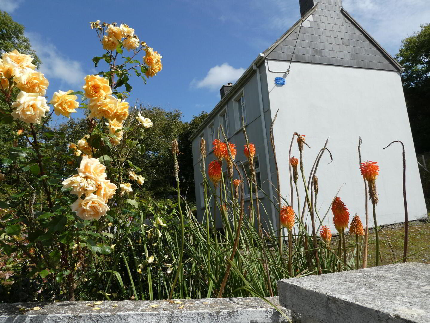 Ballybrack 21 of 22